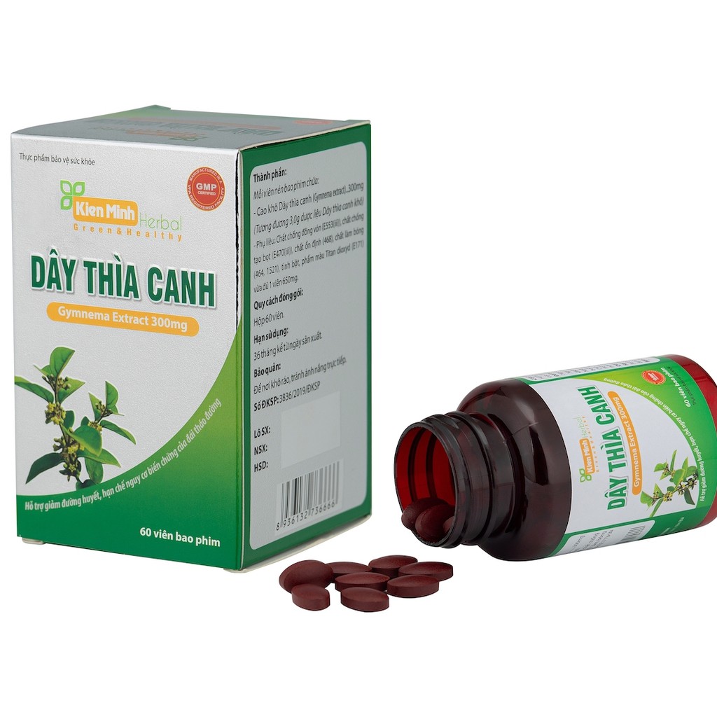 Dây Thìa Canh  - Thảo dược truyền thống cho người tiểu đường