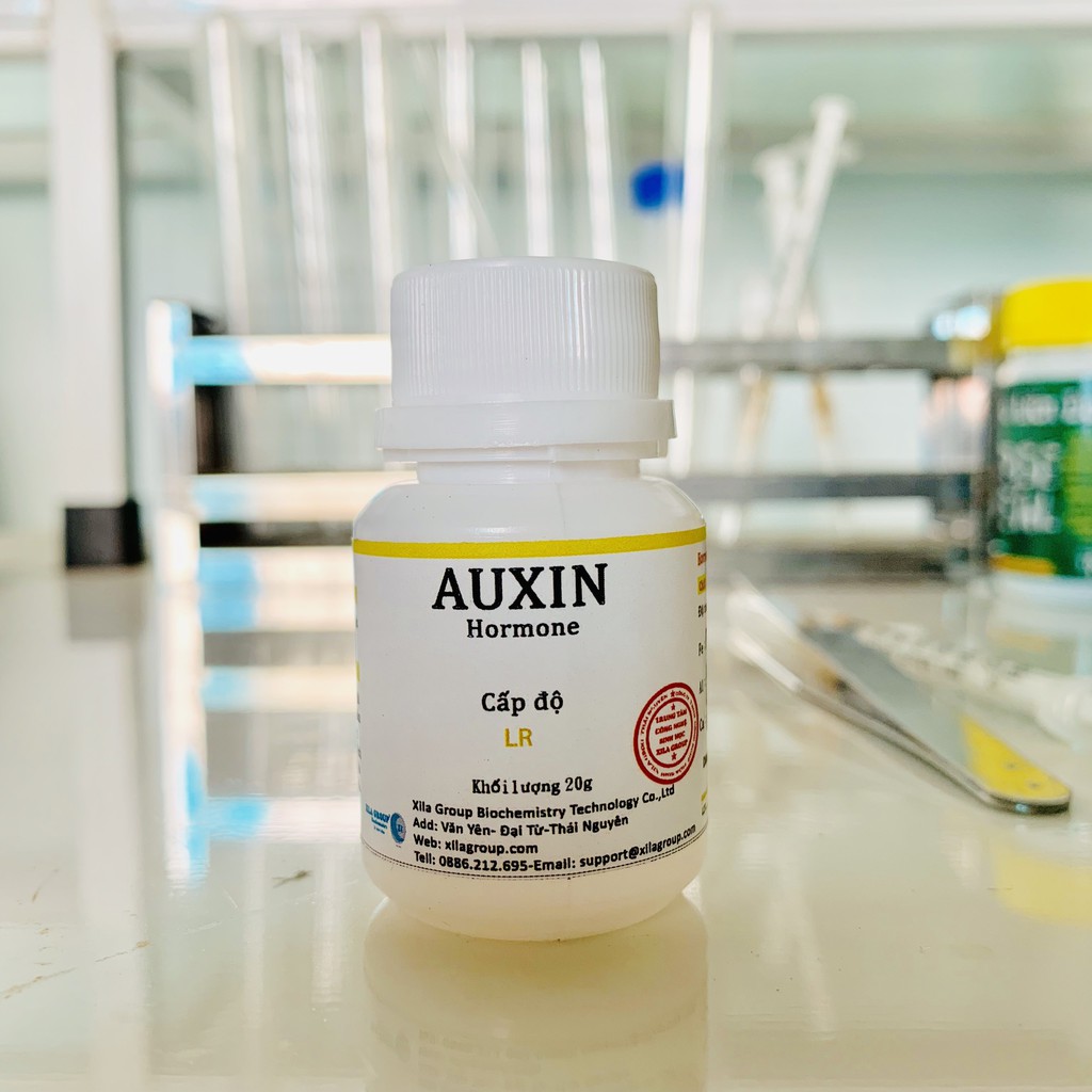 Auxin, siêu rễ, ép ra rễ cho lan 100%