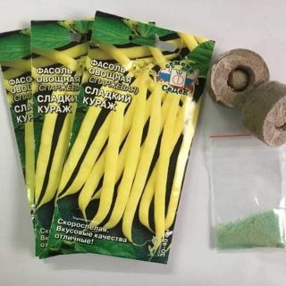 Đậu cove vàng lùn