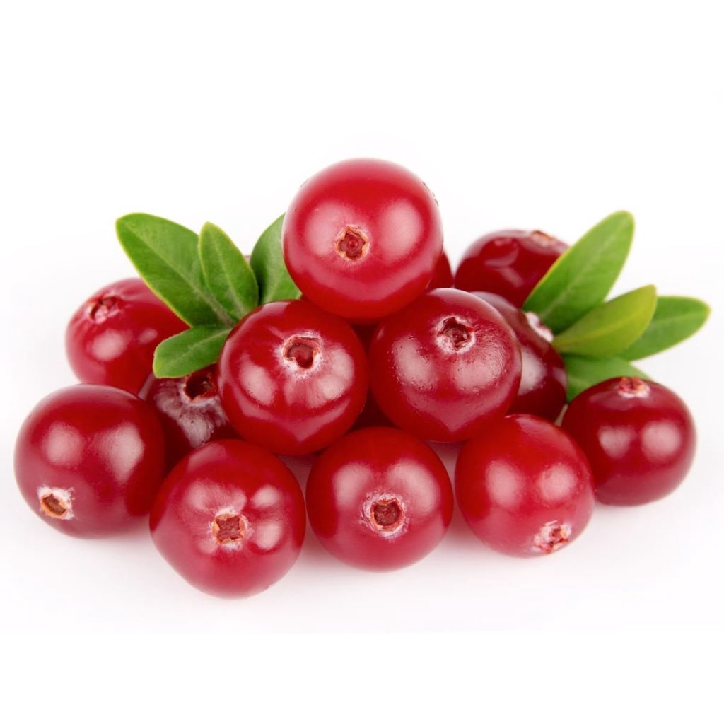 30 hạt giống Việt Quất đỏ