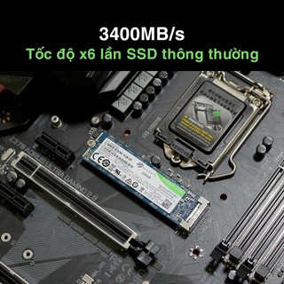 Ổ cứng SSD Seagate Barracuda 510 256GB