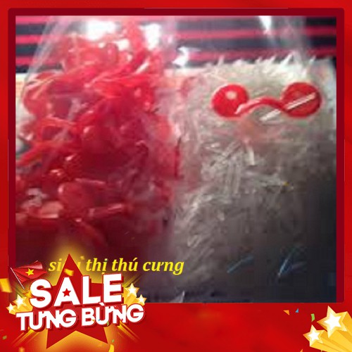 SET 20 KÍNH ĐEO CHO GẢ LOẠI CÓ CHỐTKÍNH MẮT CHO GÀ TRÁNH MỔ NHAU GIÁ RẺ