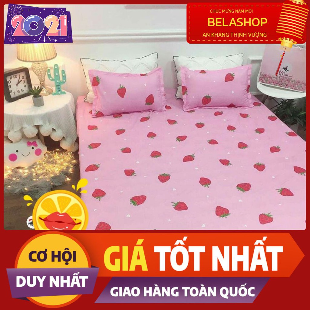 Bộ ga gối Drap 1m6 Cotton Poly Vikona mã 13