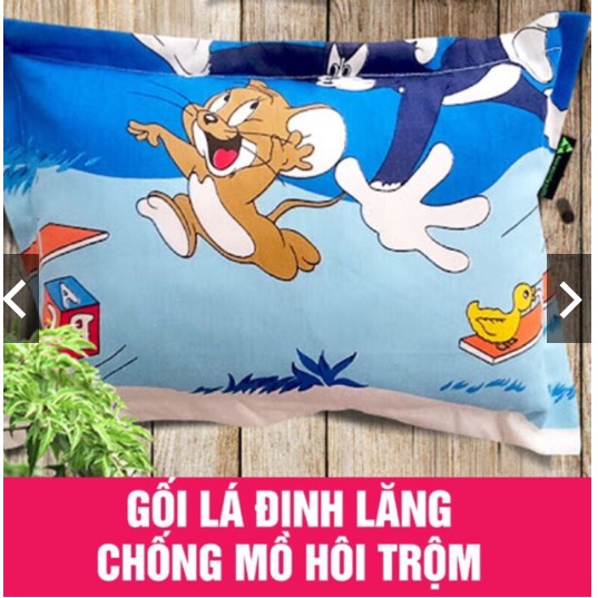 Gối Đinh Lăng Chống Đổ Mồ Hôi Cho Bé Kio