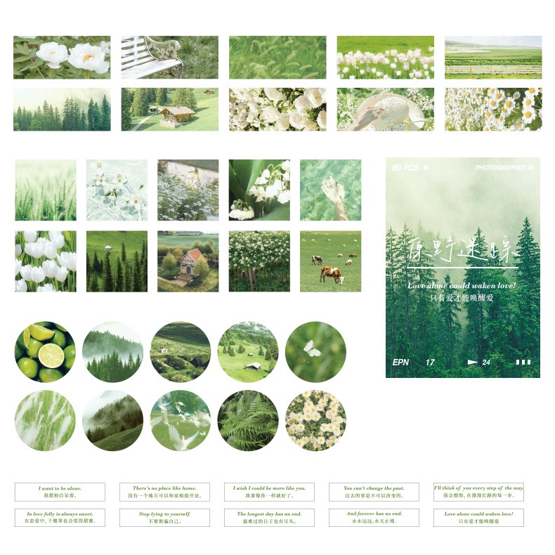 Bộ 80 tờ nhãn dán trang trí phong cách thiên nhiên