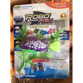 Cá robot cảm biến tự bơi - Robofish
