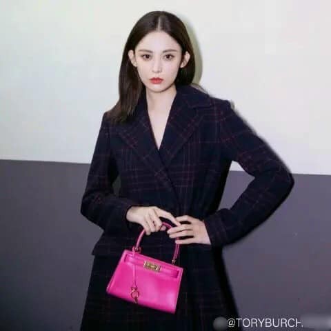 Tory burch radziwill mini bag!!