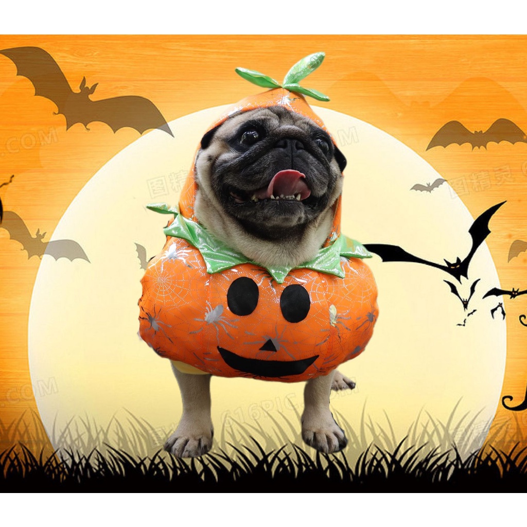 Bộ đồ hóa trang Halloween bí đỏ cho thú cưng