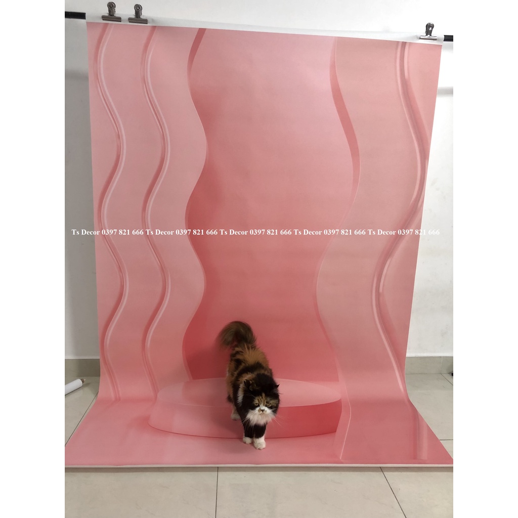 Phồng Nền Livestream Chụp Ảnh 3D 5D Màu Hồng Kute-Tạo Logo Chèn Chữ Miễn Phí