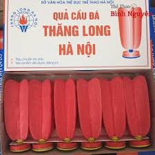 Quả cầu đá thi đấu ĐLS