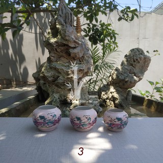 Cóng sứ chào mào đẹp