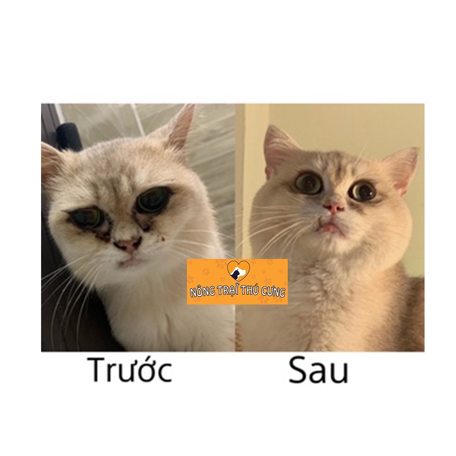 Hộp Vitamin Beaphar Tăng Nọng, Dưỡng Lông & Cung Cấp Vitamin, Taurine Cho Mèo