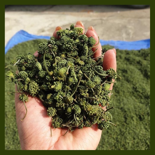 NỤ HOA TAM THẤT 100gr