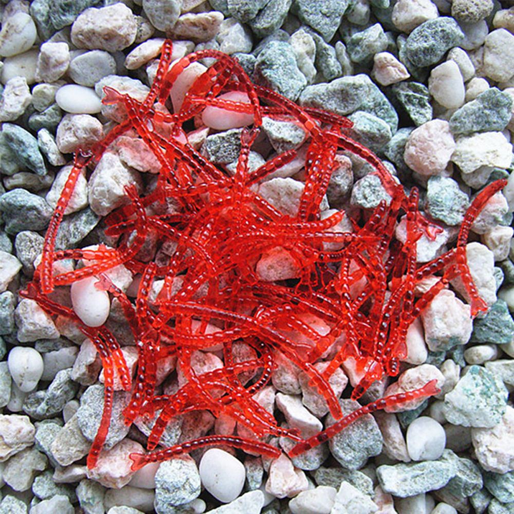 Bộ 50-200 Mồi Giun Mềm Câu Cá 2cm/4cm