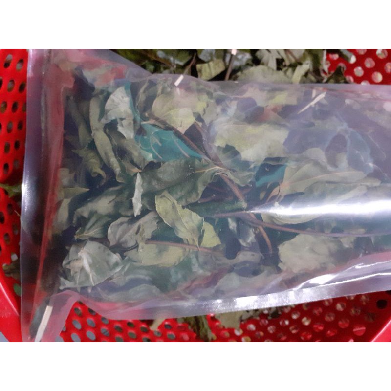 Lá cây long não phơi khô 100g.Hút chân không