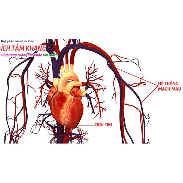 ÍCH TÂM KHANG _  Tăng cường sức khỏe tim mạch, phòng ngừa suy tim