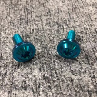 2 ốc GR5 xanh lục bảo, xanh tím gắn bảng tên