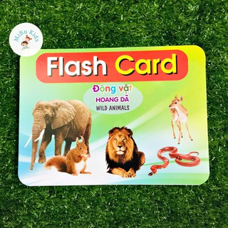 Thẻ Học Thông Minh Chủ Đề Động Vật Hoang Dã