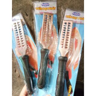 Cây đánh vẩy cá có 2 cỡ