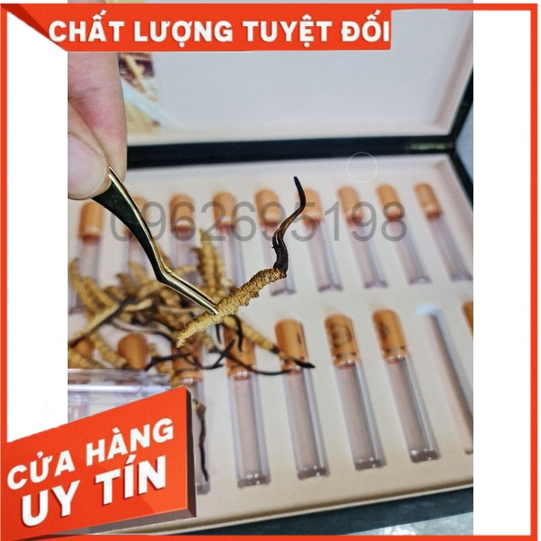 Đông Trùng Hạ Thảo Nguyên Con Na Khúc Tây Tạng Hộp 5g