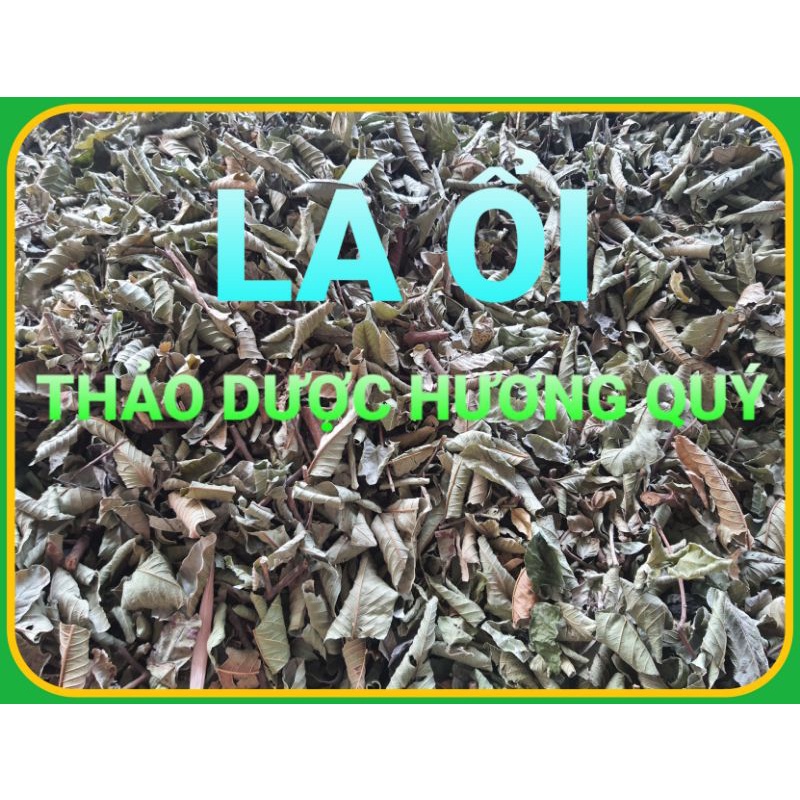 1KG LÁ ỔI KHÔ, SẠCH, LOẠI 1 HỖ TRỢ GIẢM CÂN, TIỂU ĐƯỜNG, NGĂN RỤNG TÓC