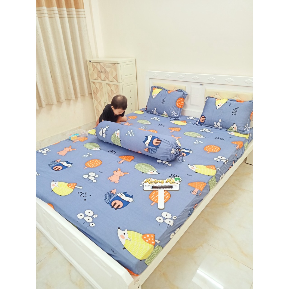 Drap thun Hàn quốc đủ size