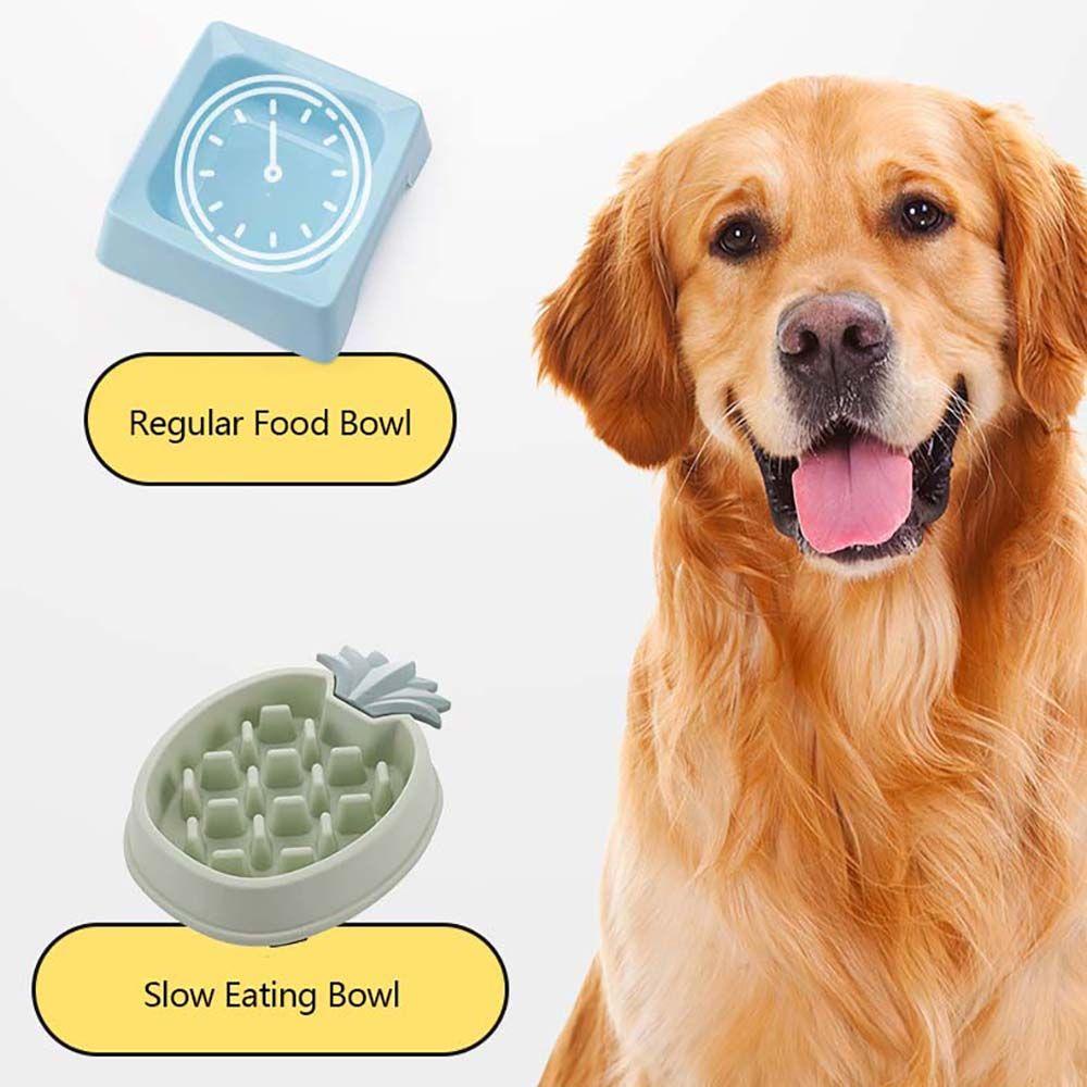 Tô Đựng Thức Ăn Chống Sặc Chống Trượt Dành Cho Thú Cưng