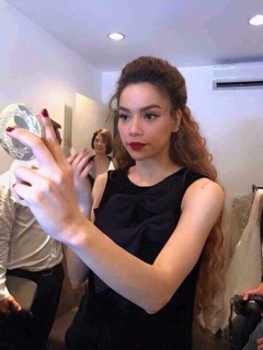 Phấn phủ