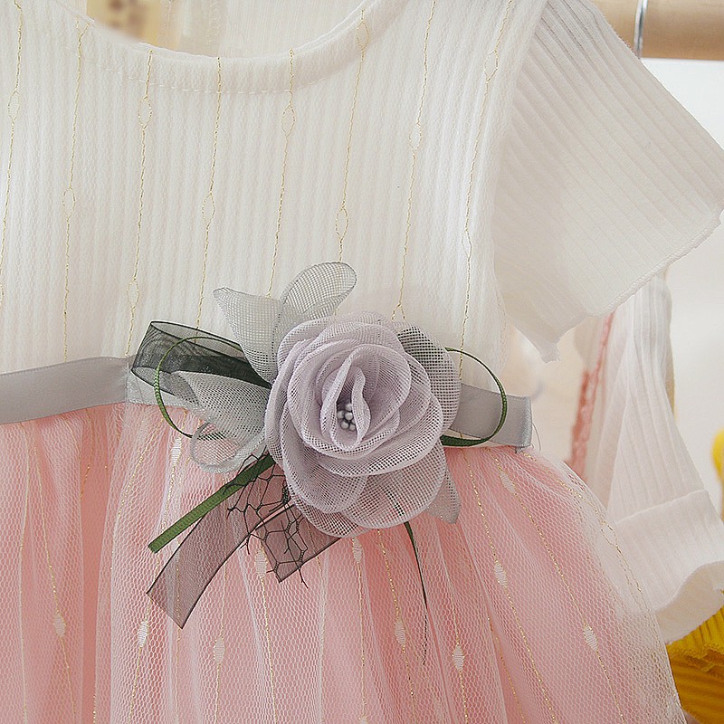 Đầm Tay Ngắn Phối Lưới Họa Tiết Hoa Hồng Xinh Xắn Cho Bé Gái 1-3 Tuổi