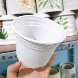 Chậu nhựa mềm trồng cây (10.5x8cm)