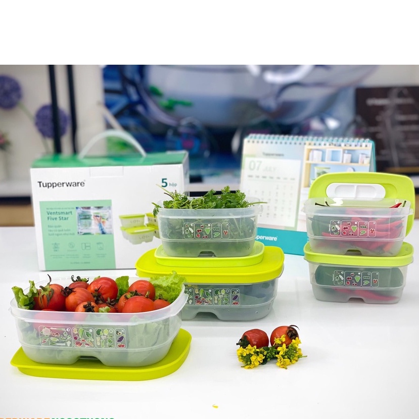 Bộ 5 hộp trữ mát có nút hô hấp Vensmart  Chính Hãng Tupperware