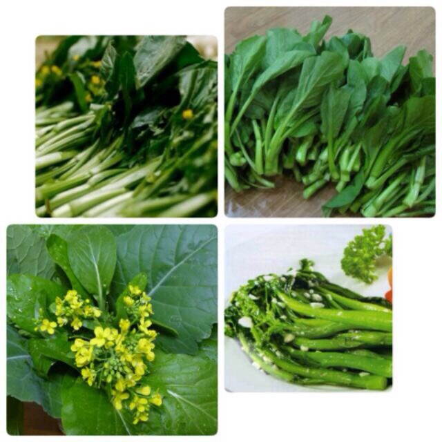 Bán buôn Hạt giống Rau Cải Ngồng Mập ( 20 gram) bao đẹp