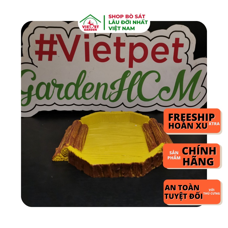 Máng thang rùa cạn- Máng nước dành riêng cho rùa cạn | Vietpetgarden