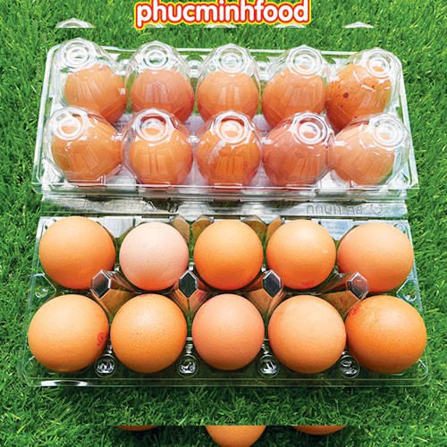 Trứng gà tươi vĩ 10 trứng