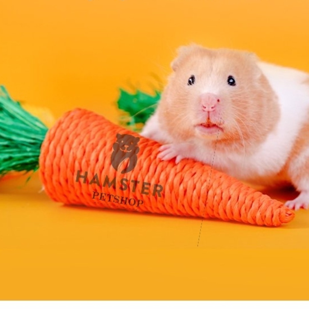 Cà rốt mài răng và trang trí chuồng cho Hamster