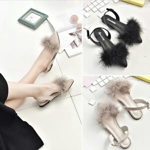 Bệt lông mũi nhọn
