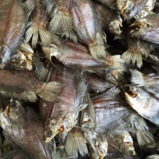 KHÔ CÁ BỔI CÀ MAU 1kg (10-12con kg)