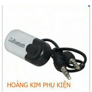 Usb bluetooth biến loa amly