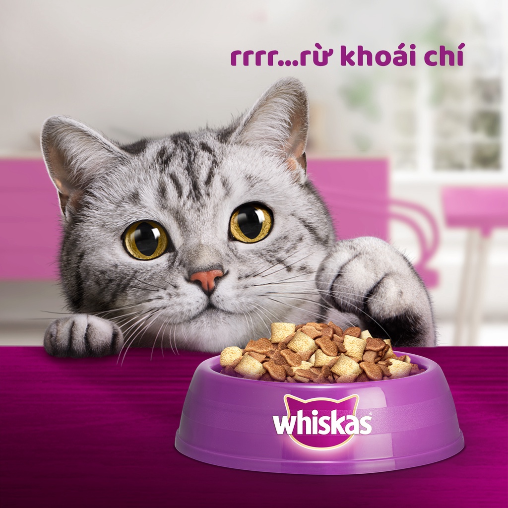 [Quà tặng không bán] Thức ăn mèo con Whiskas 450g