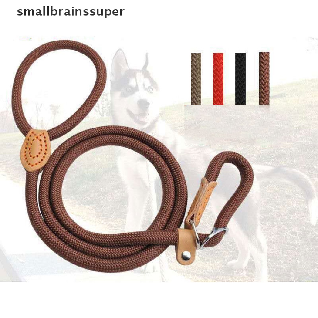 Dây Dắt Thú Cưng Đi Dạo Bằng Nilon Có Dây Xích Chống Trượt