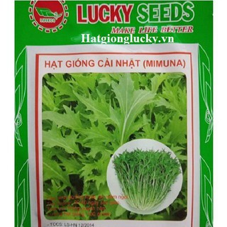 Hạt Giống Rau Cải Nhật Xanh, Giàu Dinh Dưỡng - 1 gói 10gram