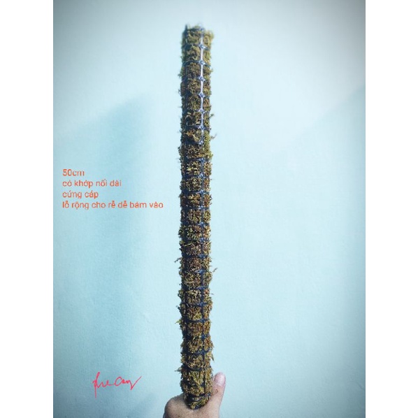 Trụ trồng cây 50cm   lưới nhựa nhập khẩu, kích thước lỗ lưới to 2x2cm, chân trụ 20cm
