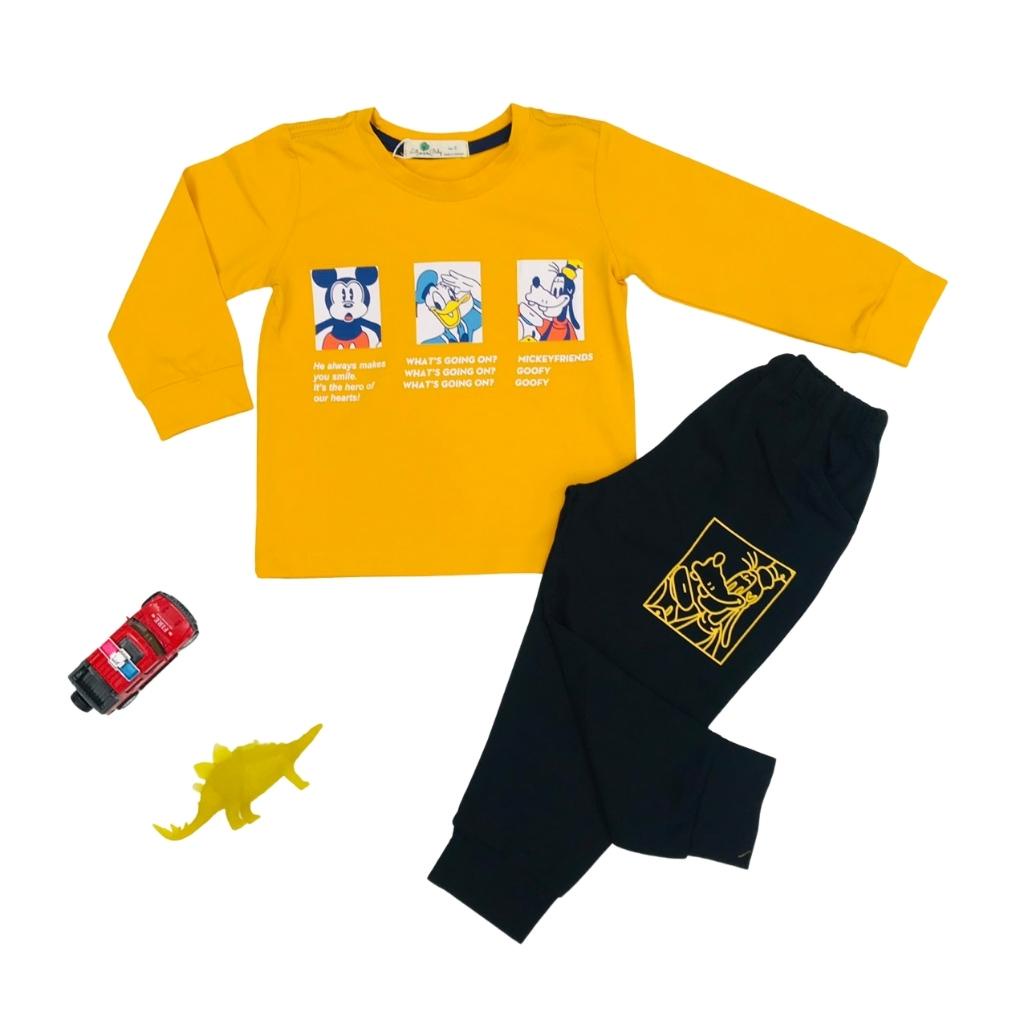 Bộ thu đông bé trai, đồ bộ bé trai, chất cotton mềm mát, size 2-8 - SUNKIDS