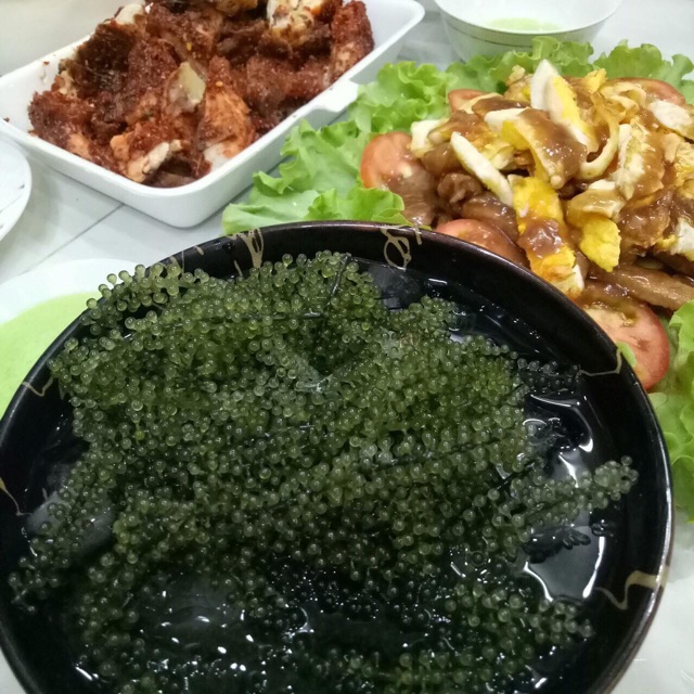Rong nho tách nước