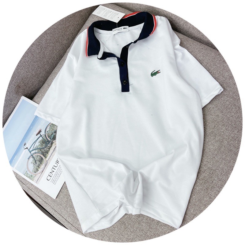 BÁN SỈ ÁO POLO CÁ SẤU CỔ BẺ THAN VIỀN ĐỎ CHO NỮ | BigBuy360 - bigbuy360.vn