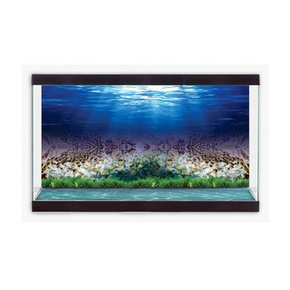 TRANH DECAL 3D DÁN HỒ CÁ CẢNH_NÀNG THƠ DECORATE