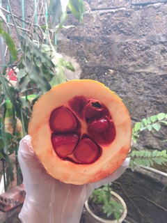 Son gấc hữu cơ handmade không chì