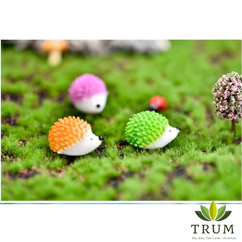 Nhìm Màu mẫu mới 1.6*2,5cm phụ kiện trang trí tiểu cảnh terrarium