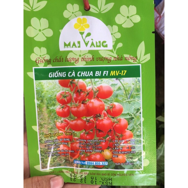 Hạt giống cà chua bi