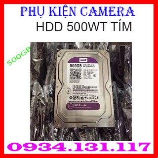 Ổ CỨNG WESTERN 500GB PURPLE (TÍM) - HÀNG RENEW
